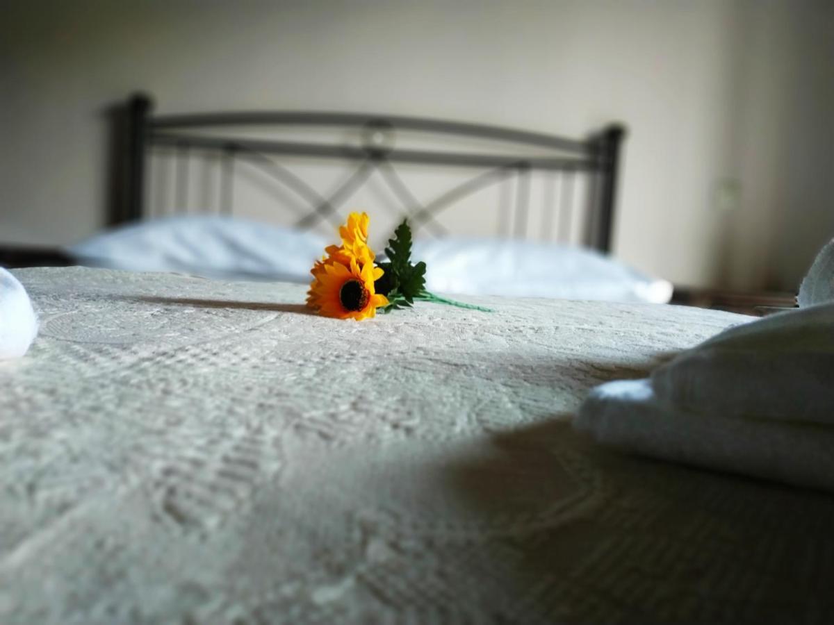 Magia'S House Apartment Kato Korakiana ภายนอก รูปภาพ
